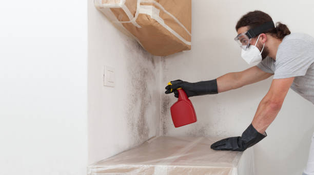 Professional Basement Mold Removal technician working in Grapevine, TX