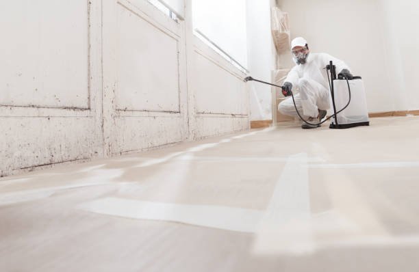 24/7 Emergency Basement Mold Removal experts in Grapevine, TX