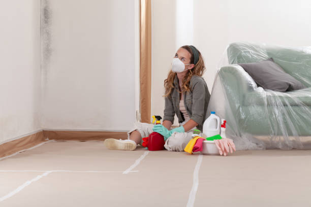 Reliable Basement Mold Removal contractor in Grapevine, TX by WQB Mold Removal